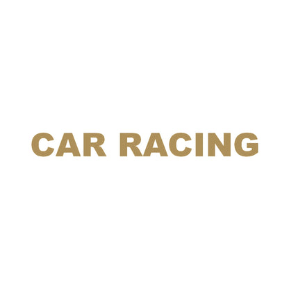 CAR RACING 9