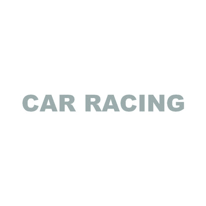 CAR RACING 10