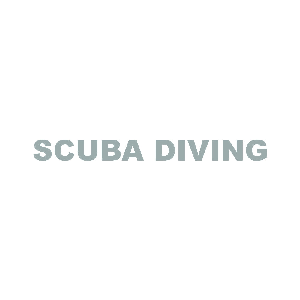 SCUBA DIVING 10