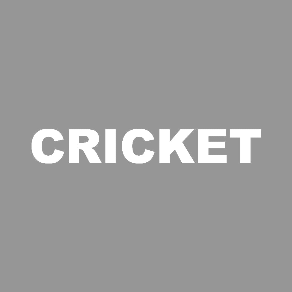 CRICKET 7