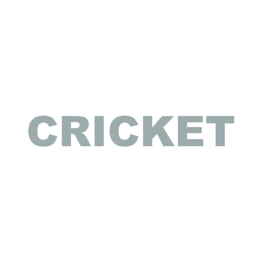 CRICKET 10