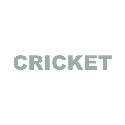 CRICKET 10
