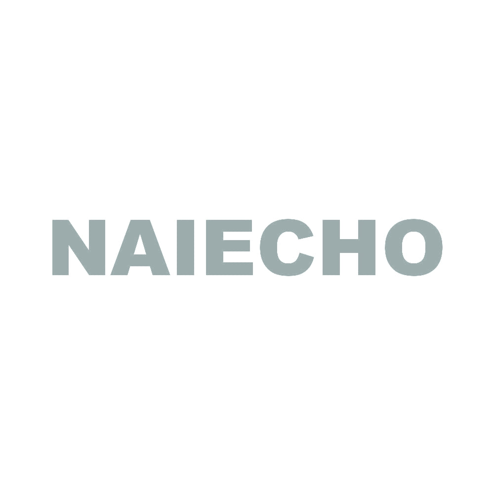 NAIECHO 10