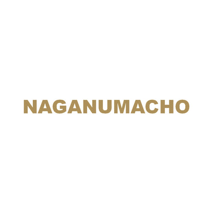 NAGANUMACHO 9