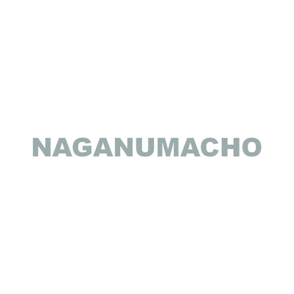 NAGANUMACHO 10