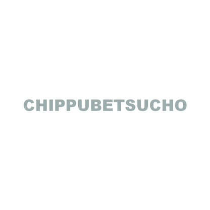 CHIPPUBETSUCHO 10