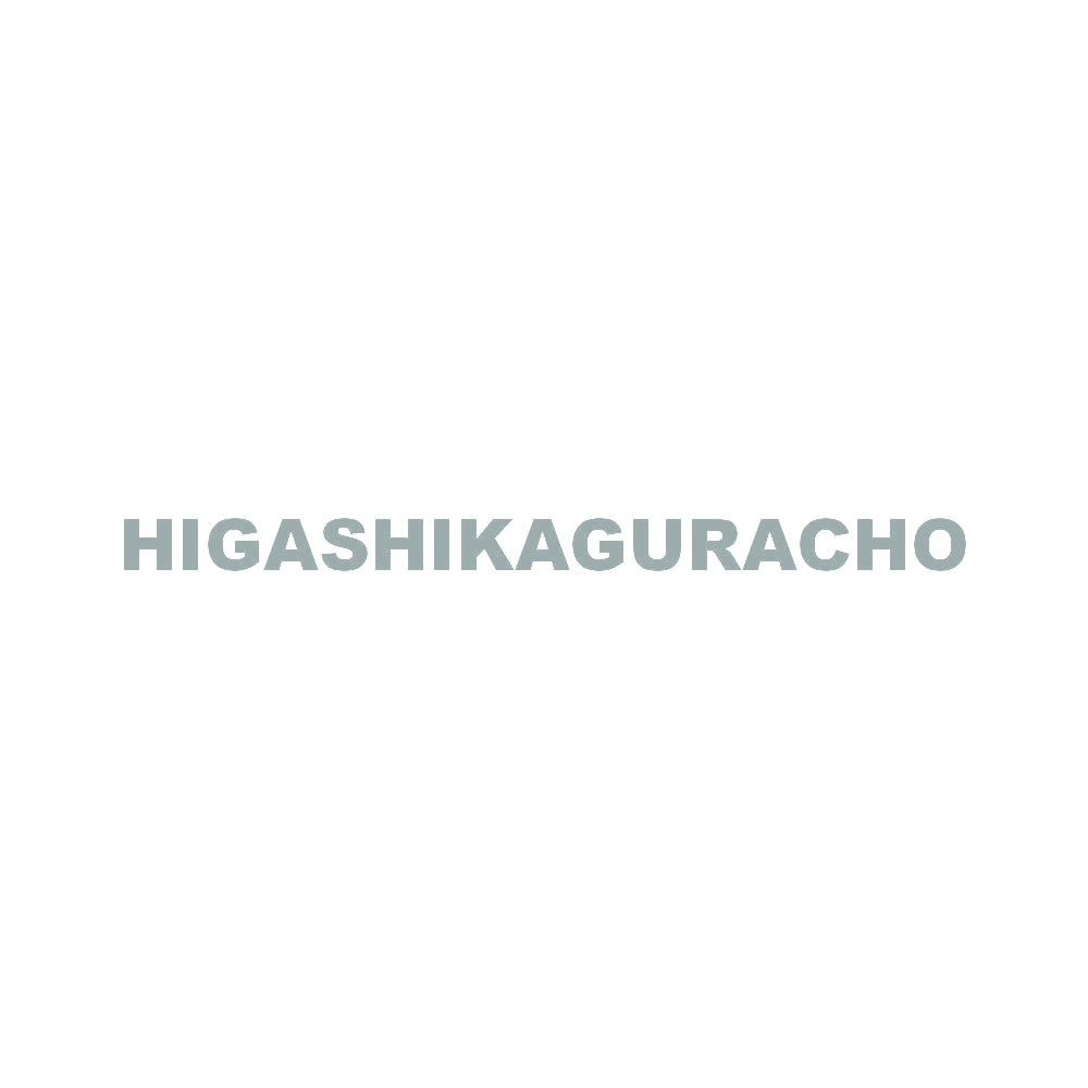 HIGASHIKAGURACHO 10
