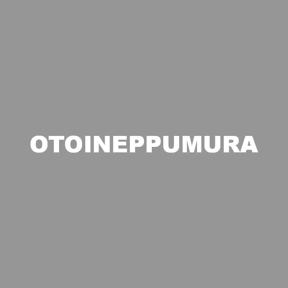 OTOINEPPUMURA 7