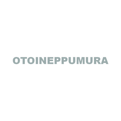 OTOINEPPUMURA 10