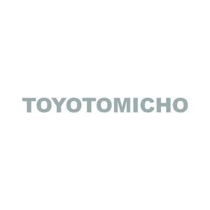 TOYOTOMICHO 10