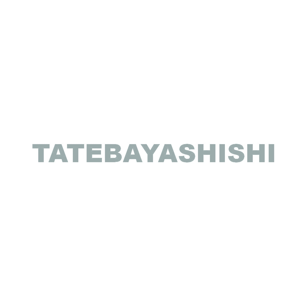 TATEBAYASHISHI 10