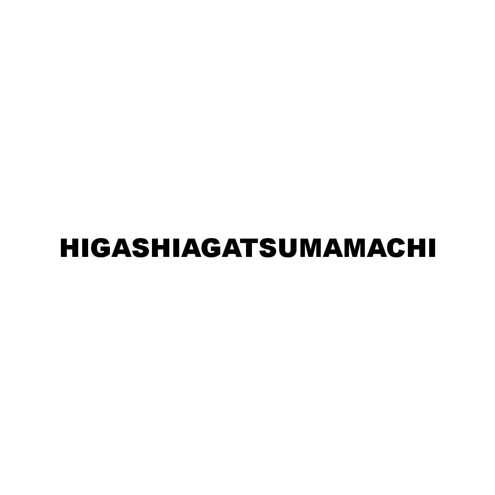 HIGASHIAGATSUMAMACHI