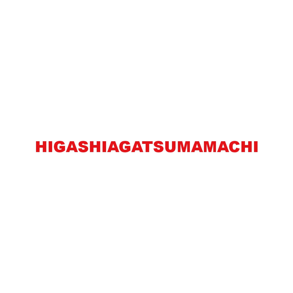 HIGASHIAGATSUMAMACHI 8