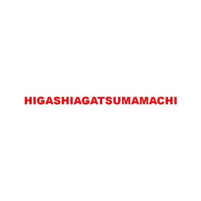 HIGASHIAGATSUMAMACHI 8