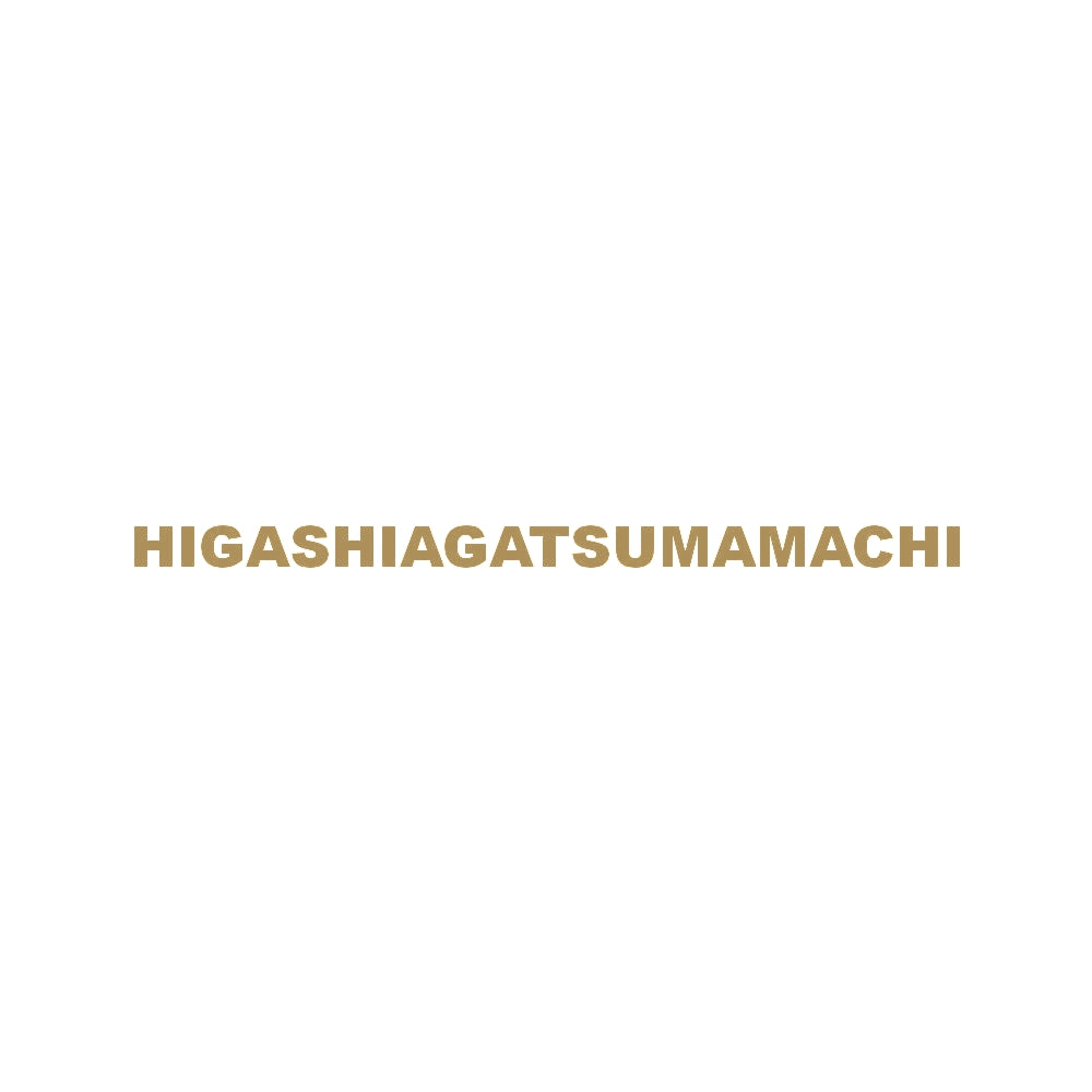 HIGASHIAGATSUMAMACHI 9