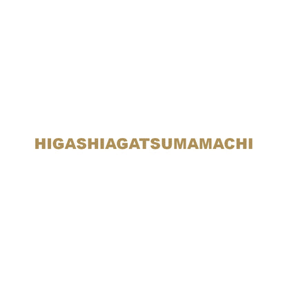 HIGASHIAGATSUMAMACHI 9