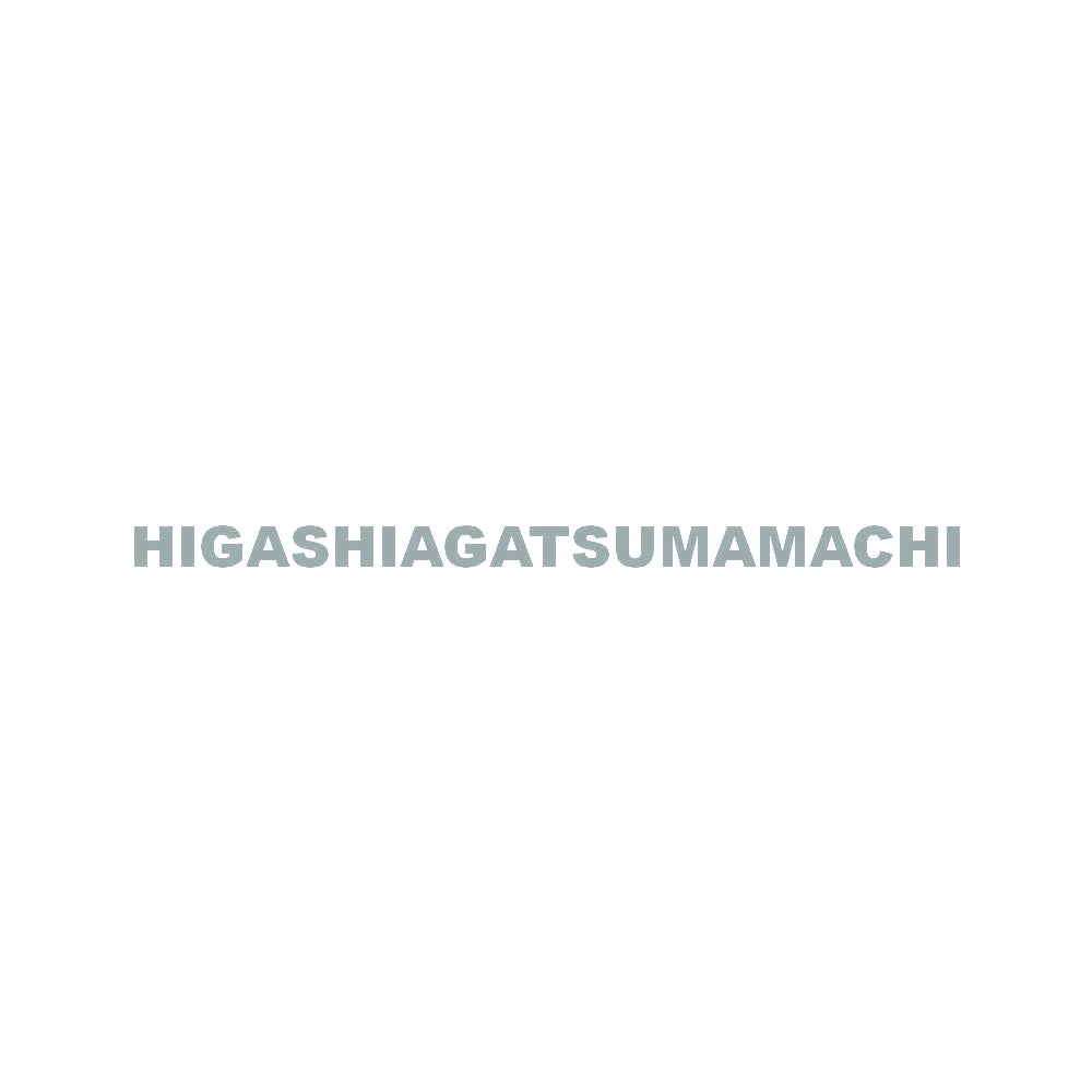 HIGASHIAGATSUMAMACHI 10