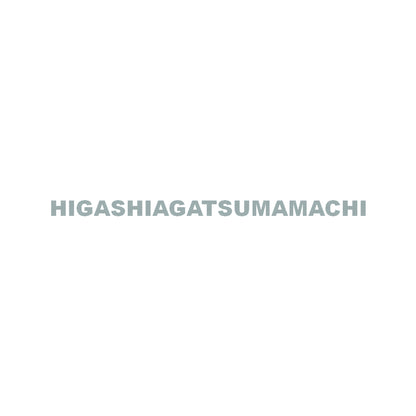 HIGASHIAGATSUMAMACHI 10