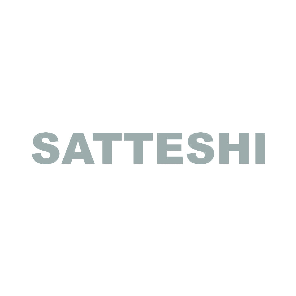 SATTESHI 10