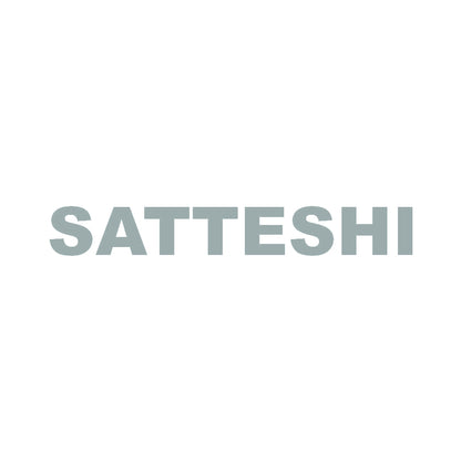 SATTESHI 10