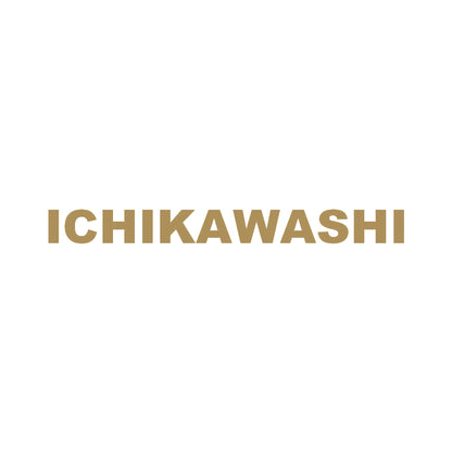 ICHIKAWASHI 9