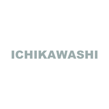 ICHIKAWASHI 10