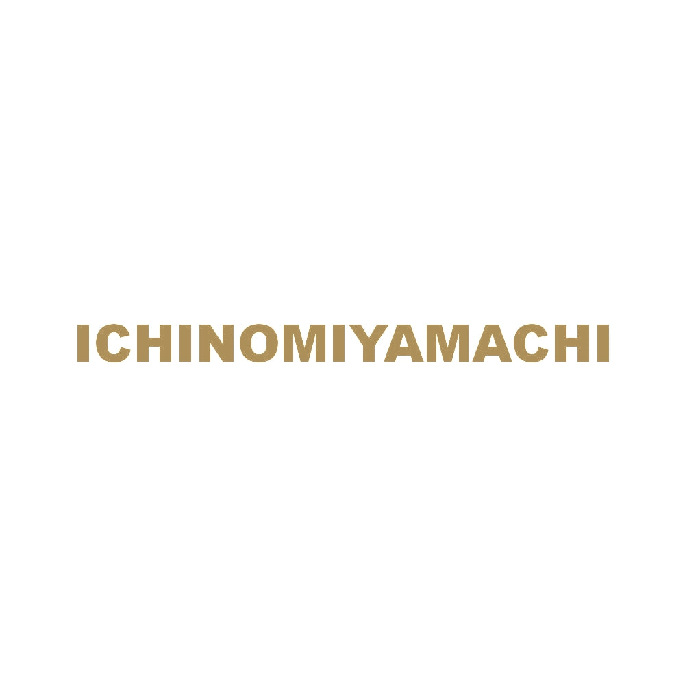 ICHINOMIYAMACHI 9