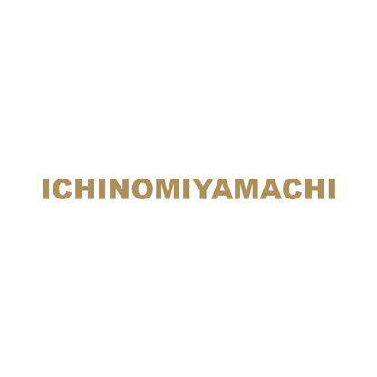ICHINOMIYAMACHI 9