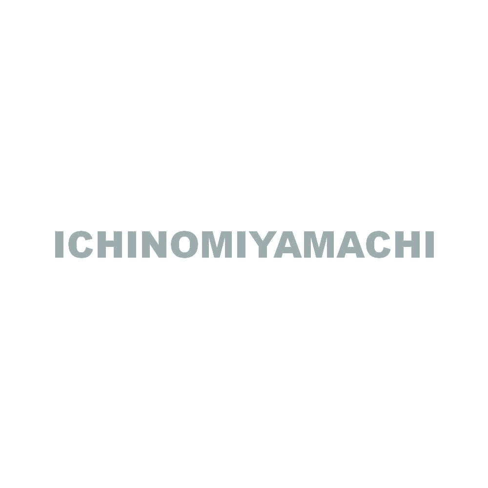 ICHINOMIYAMACHI 10