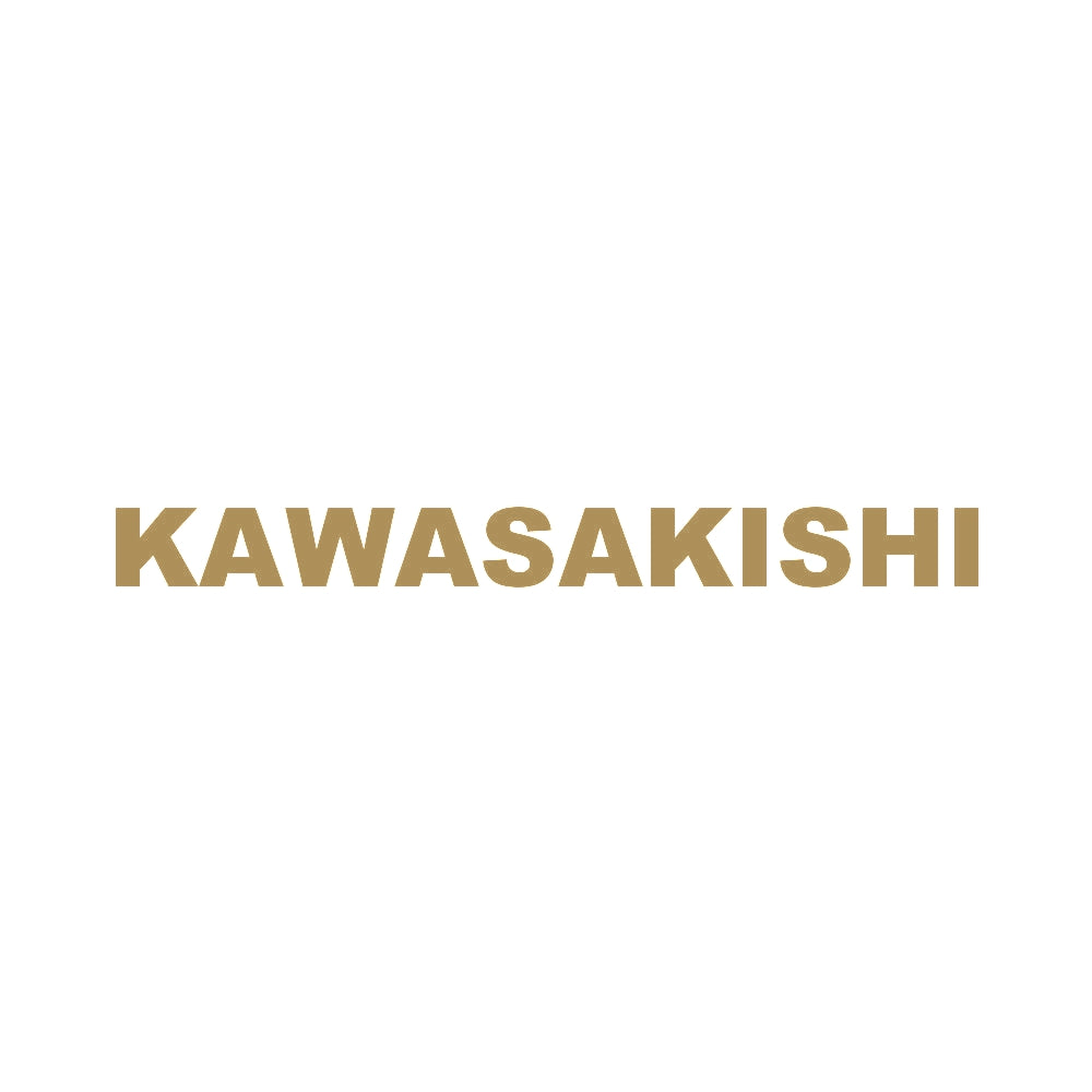 KAWASAKISHI 9