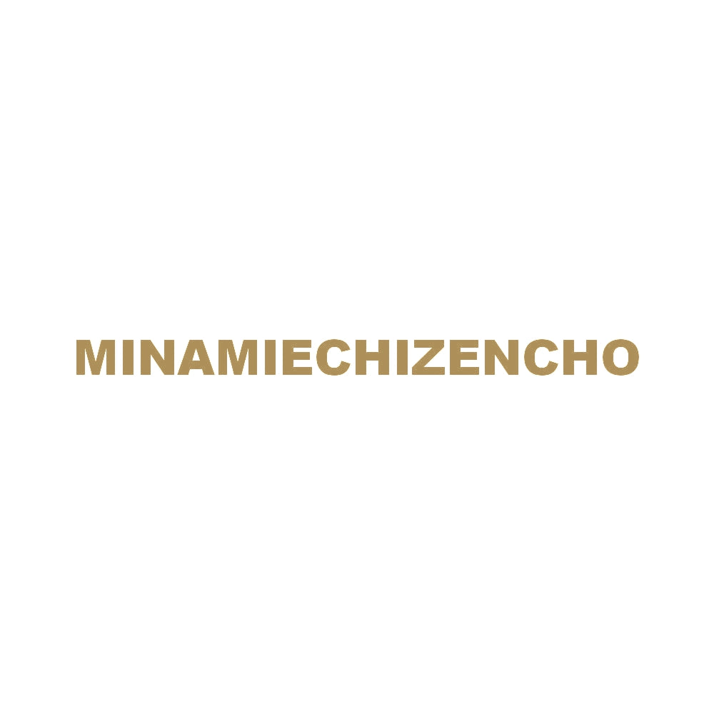 MINAMIECHIZENCHO 9