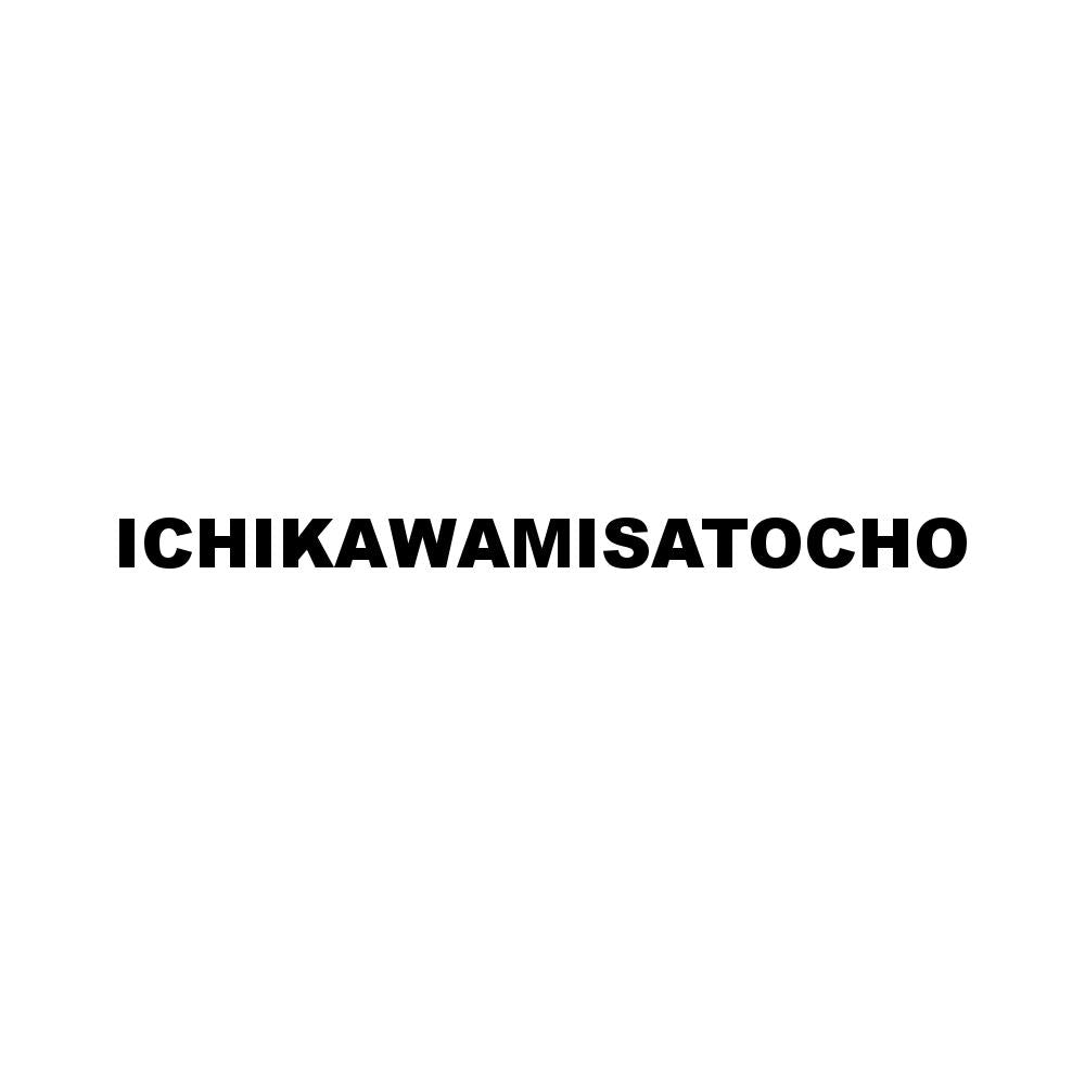ICHIKAWAMISATOCHO