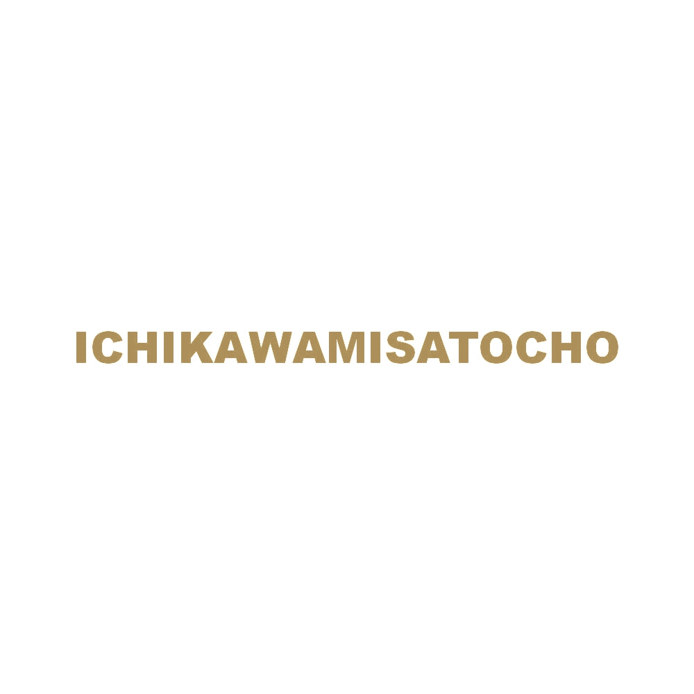 ICHIKAWAMISATOCHO 9