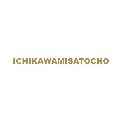 ICHIKAWAMISATOCHO 9