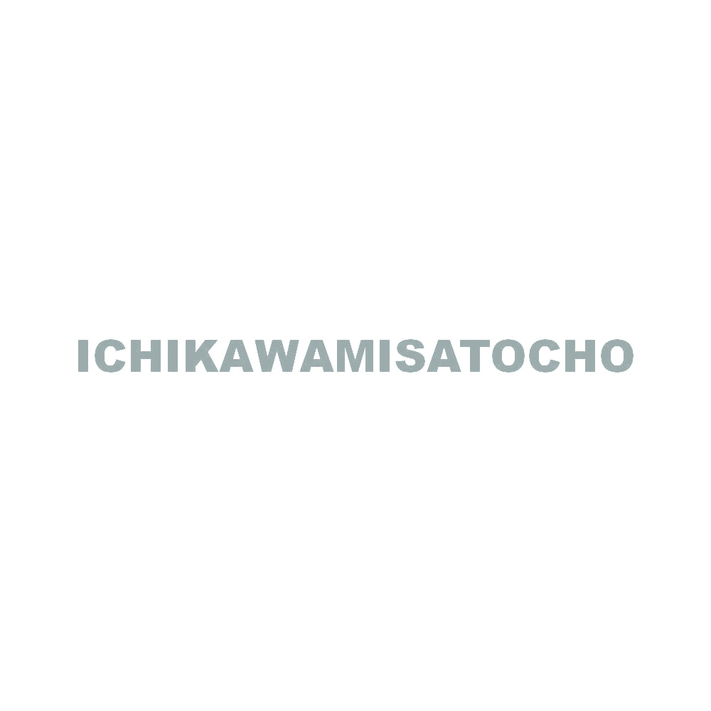 ICHIKAWAMISATOCHO 10