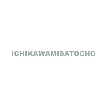 ICHIKAWAMISATOCHO 10