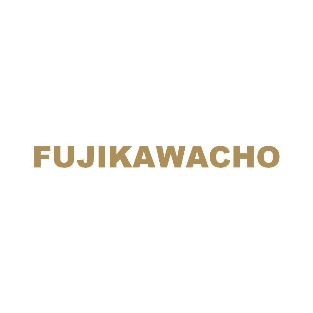 FUJIKAWACHO 9
