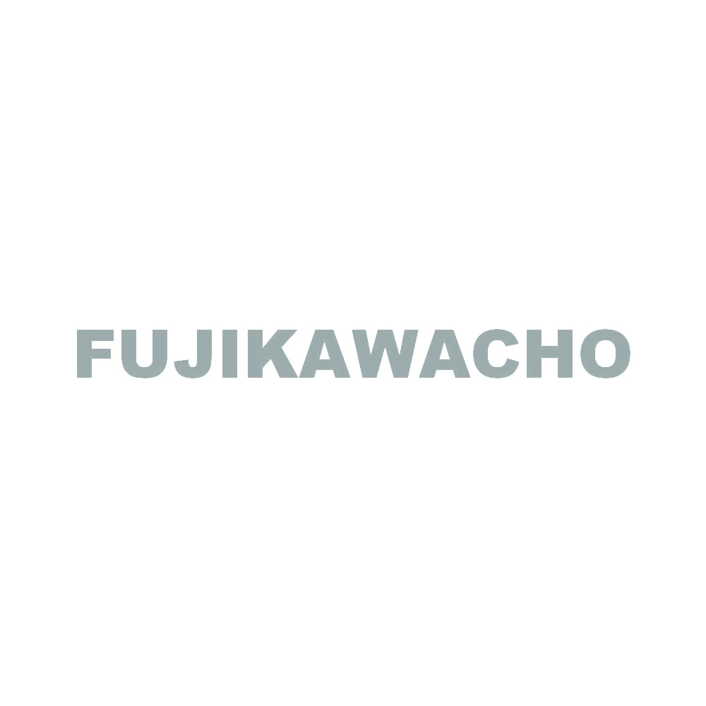 FUJIKAWACHO 10