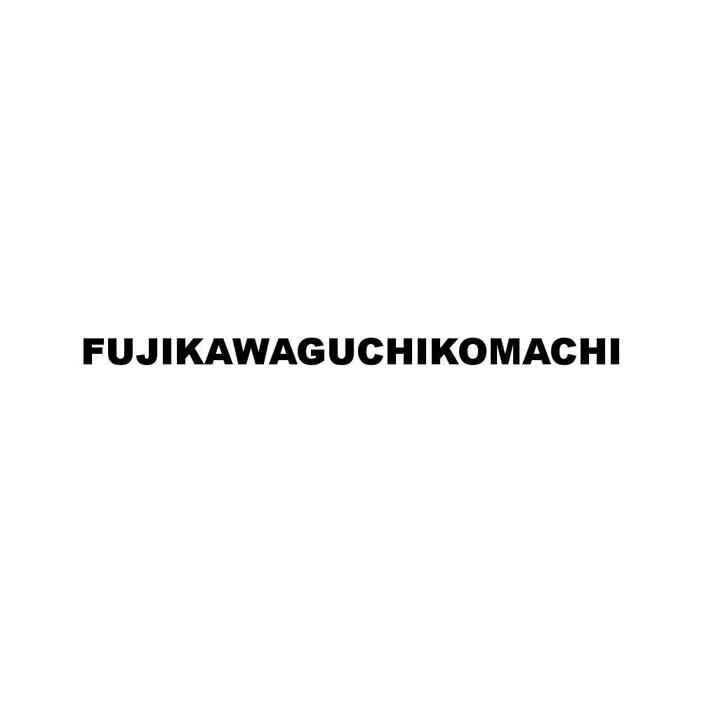 FUJIKAWAGUCHIKOMACHI