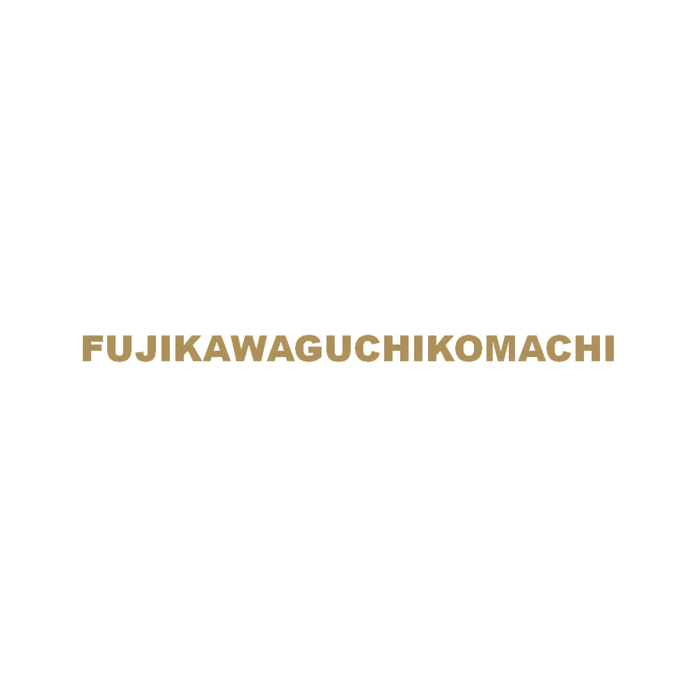 FUJIKAWAGUCHIKOMACHI 9