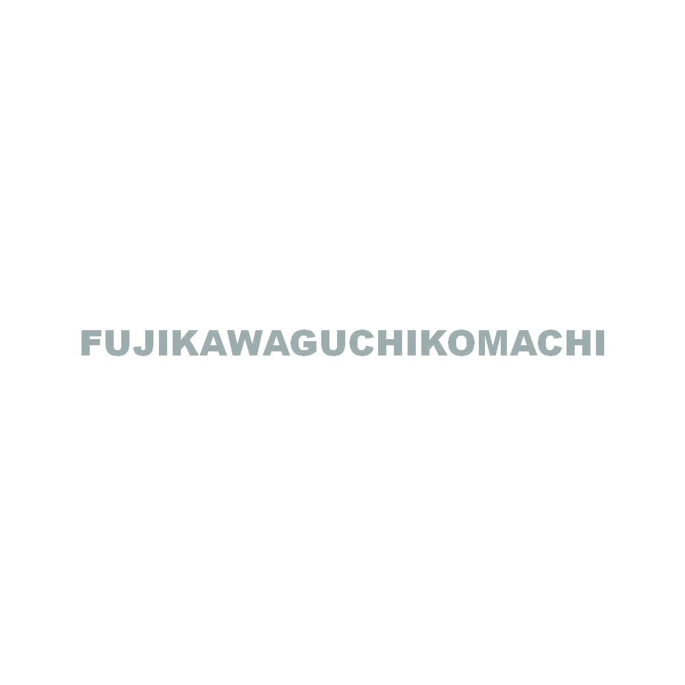FUJIKAWAGUCHIKOMACHI 10