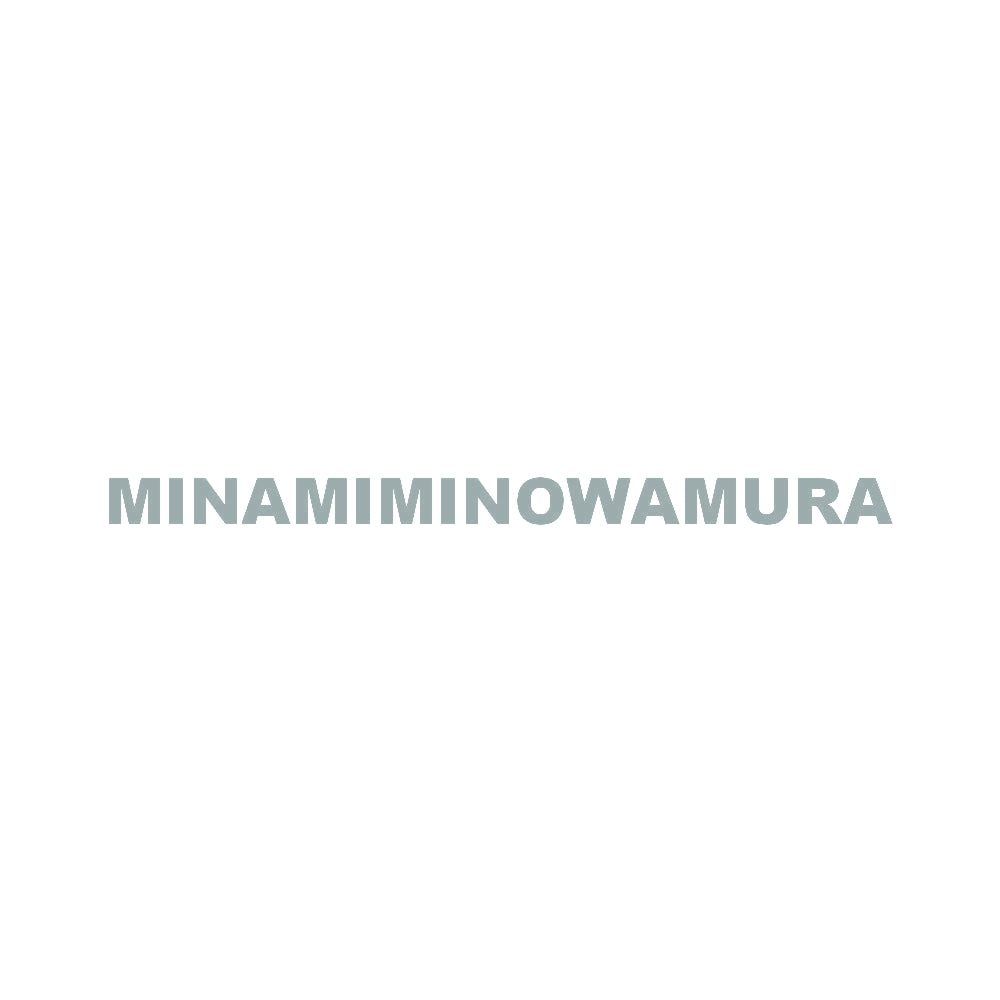 MINAMIMINOWAMURA 10