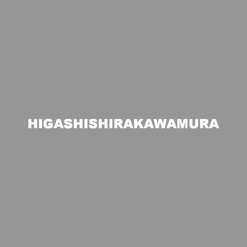 HIGASHISHIRAKAWAMURA 7