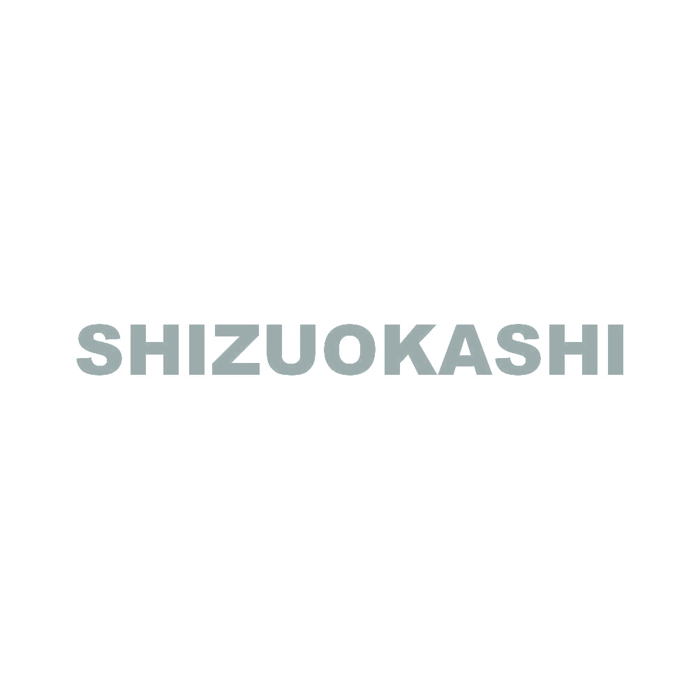SHIZUOKASHI 10