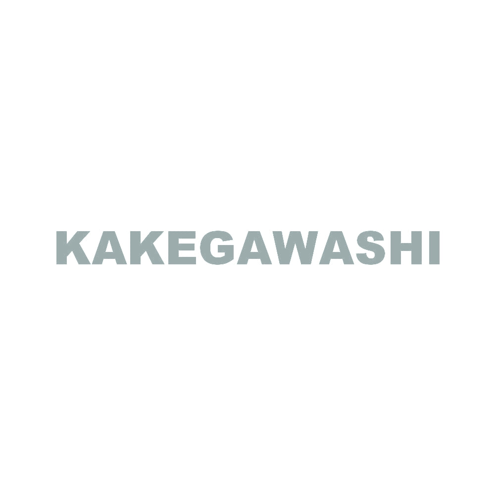 KAKEGAWASHI 10