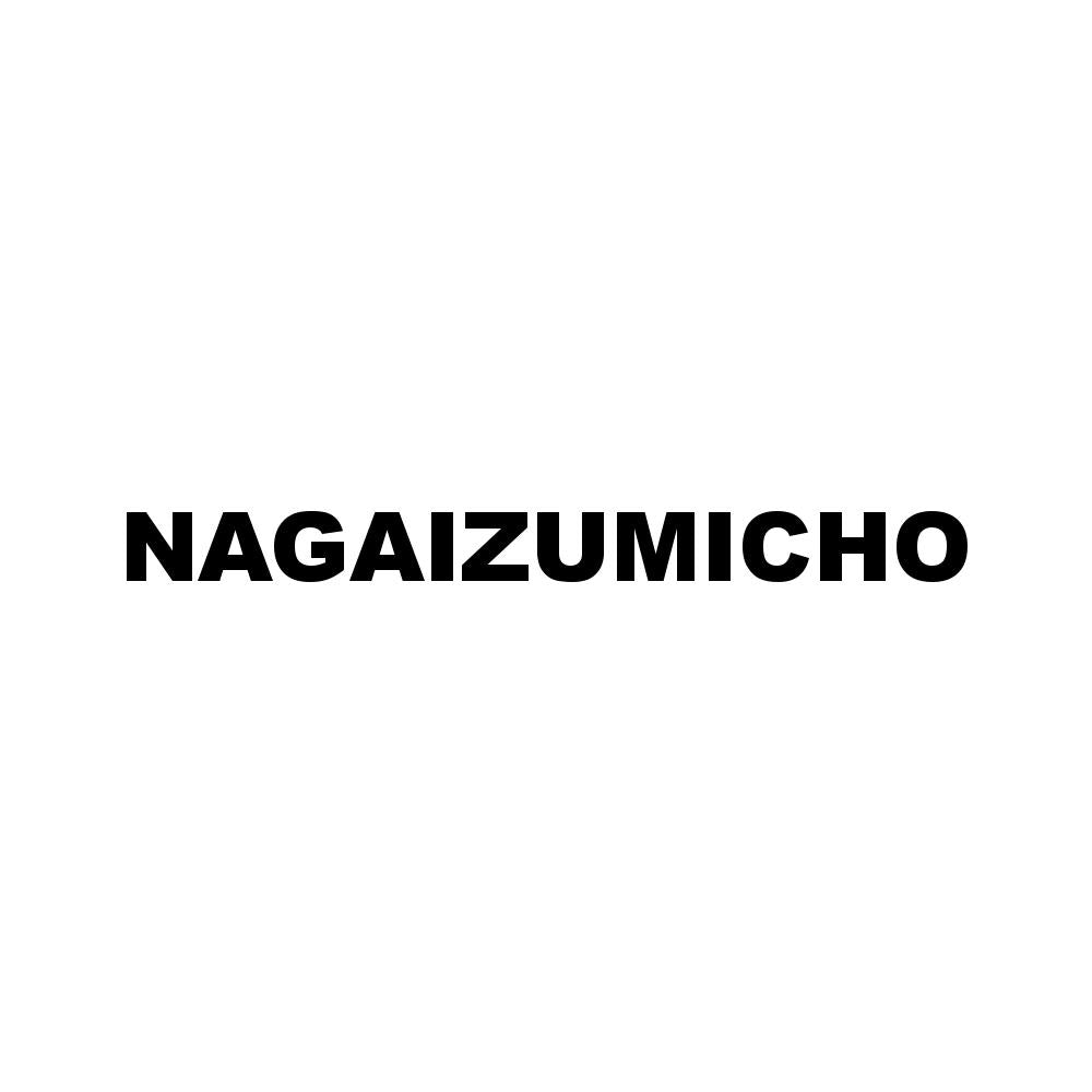 NAGAIZUMICHO