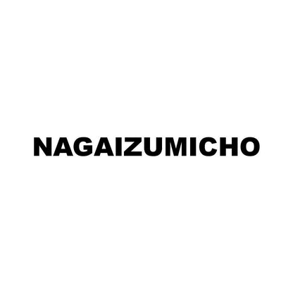 NAGAIZUMICHO