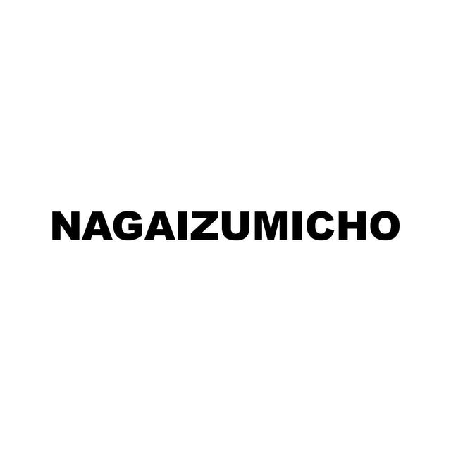 NAGAIZUMICHO
