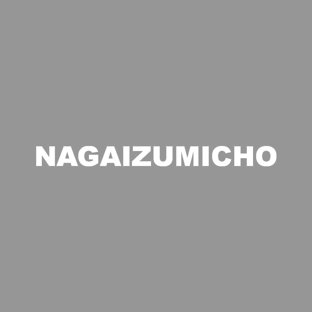 NAGAIZUMICHO 7