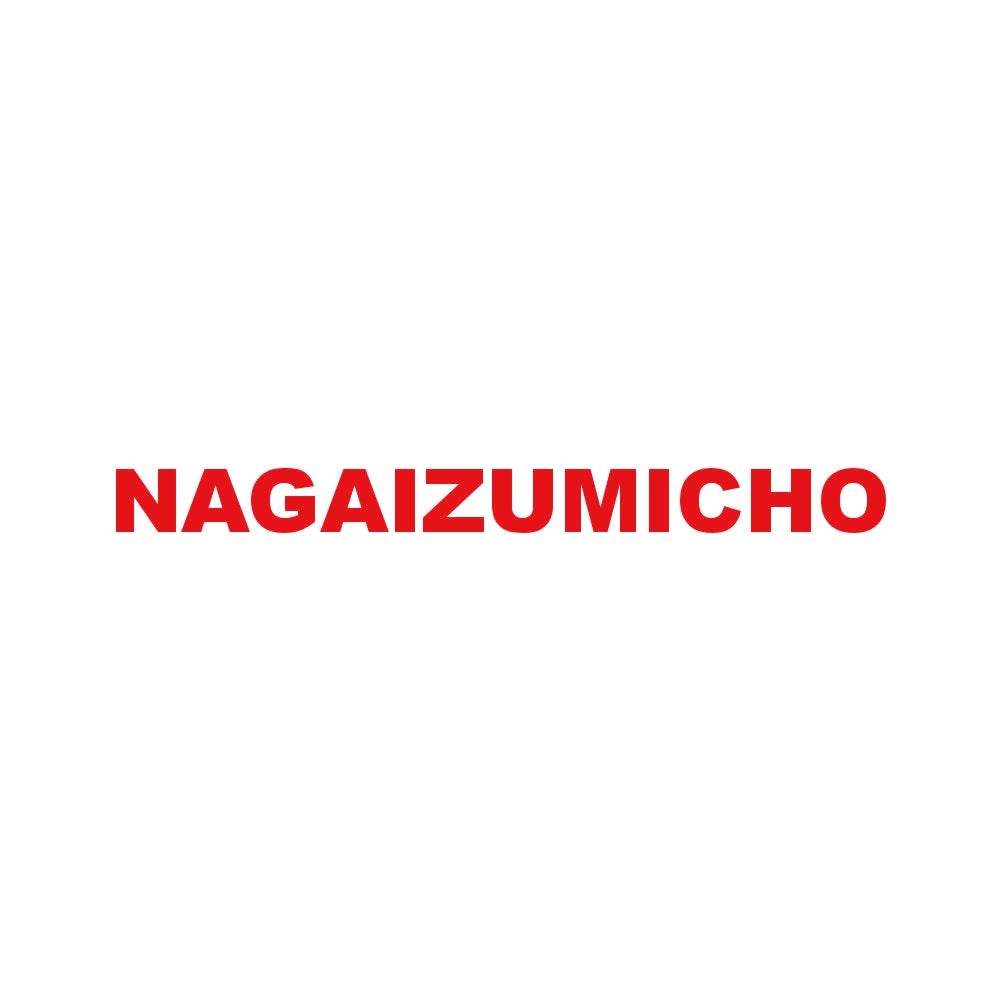 NAGAIZUMICHO 8